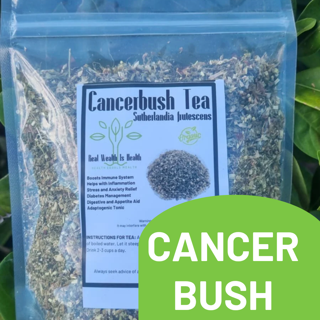 cancerbush cancerbush